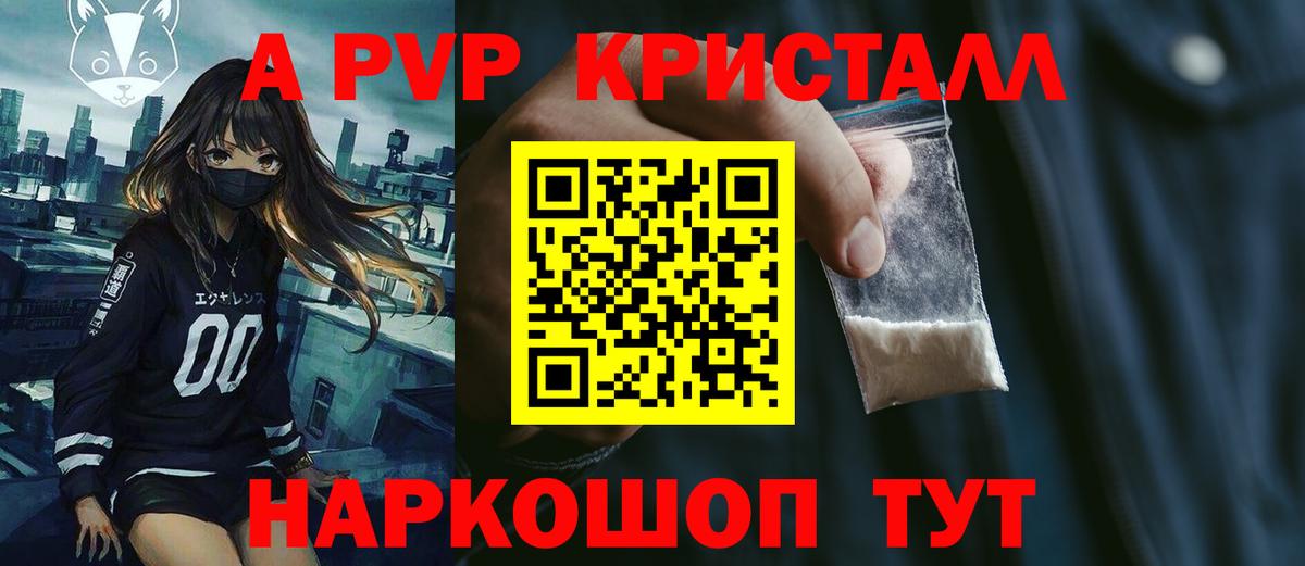 Alfa_PVP СК КРИС Луга