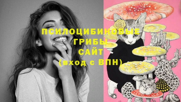 2c-b Абинск