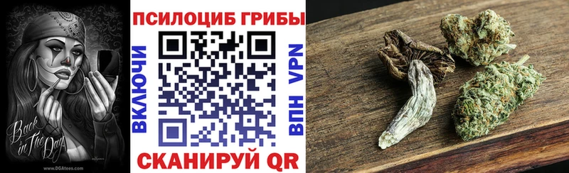 закладка  Луга  Псилоцибиновые грибы Psilocybe 
