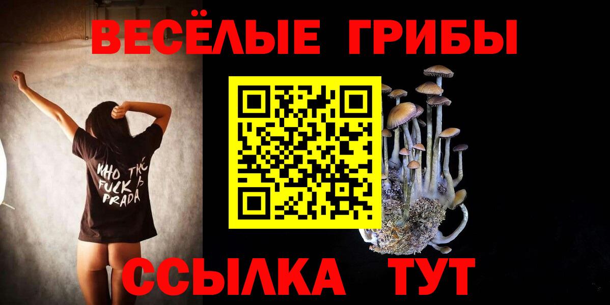 Псилоцибиновые грибы Psilocybe Луга