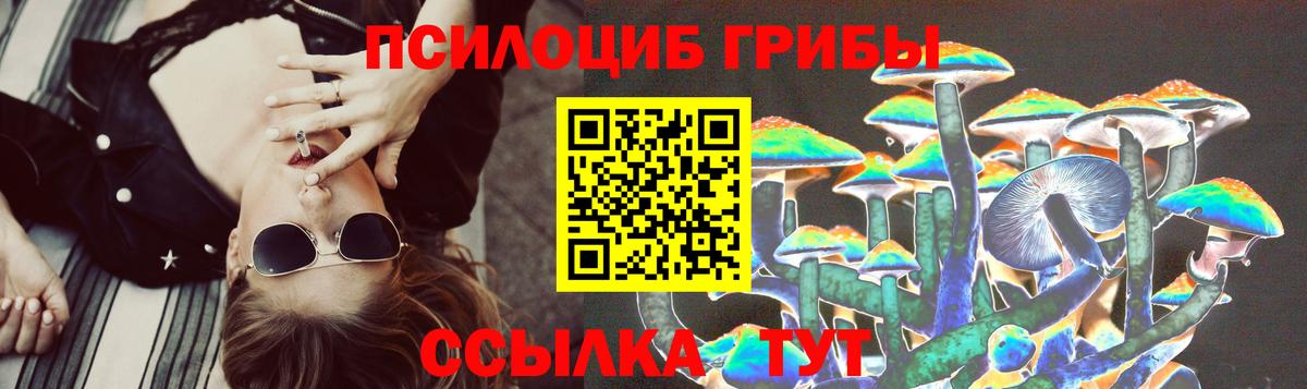 Галлюциногенные грибы Magic Shrooms  Галлюциногенные грибы прущие грибы  Вход с VPN  Луга 
