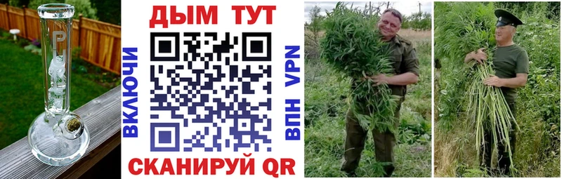 МАРИХУАНА OG Kush Луга