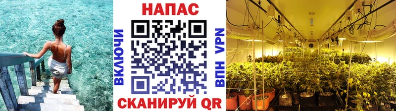 МАРИХУАНА LSD WEED где можно купить наркотик Луга